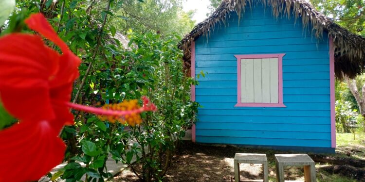 Jardín Botánico Nacional: Belleza vegetal y celebración ambiental
