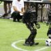 Expertos pronostican que en el año 2050 los robots podrán jugar fútbol 