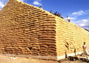 Bajan los precios internacionales de los alimentos