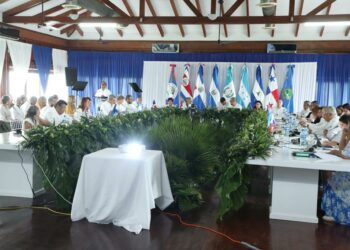 Presidente Abinader propone enfrentar desafíos ambientales ye cambio climático