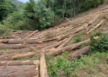 Imponen coerción a dos hombres y una mujer falsificaron permiso ambiental