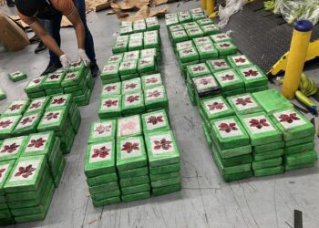 Confiscan 400 paquetes de presunta cocaína en el Puerto Multimodal Caucedo