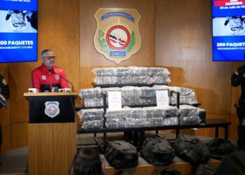 DNCD informa incautación de 200 paquetes presumiblemente de cocaína en Caucedo