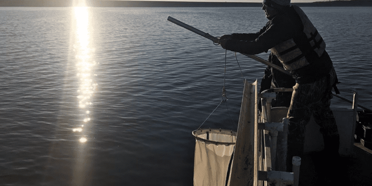 Sorprendente contaminación por microplásticos en lagos y embalses