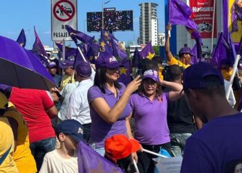  PLD se moviliza en todo el país con “toques de bandera”