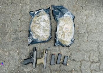 Autoridades ocupan marihuana y pistolas venían en tanque de comida desde NY