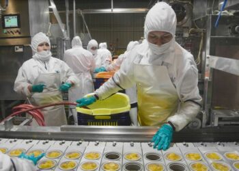 El empleo se recupera con desigualdad en América Latina y el Caribe