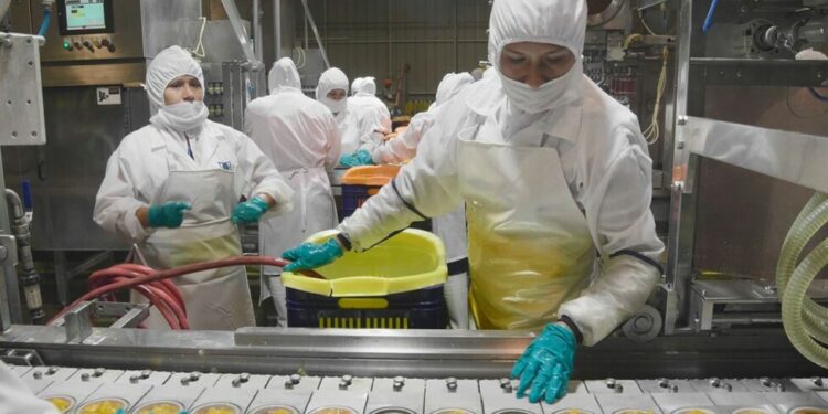 El empleo se recupera con desigualdad en América Latina y el Caribe