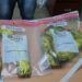 Confiscan supuesta cocaína a europeo en silla de ruedas en la que se transportaba