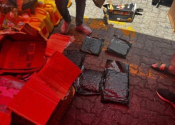 Detectan once libras de marihuana llegada a RD desde Miami