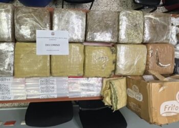 Incautan 110 libras de marihuana en un sector de Santiago
