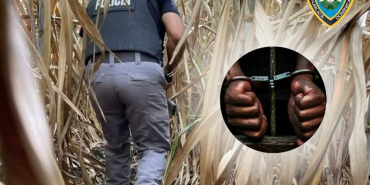 Apresan a sospechosos del asesinato de oficial policial en SDE