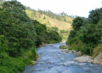 Revelan contribución de los ríos en la emisión de metano