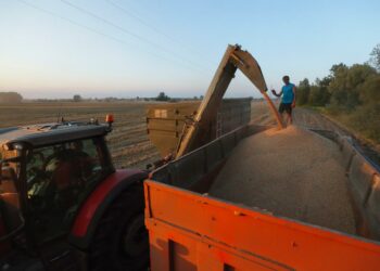 Rusia debe dejar de usar el alimento como arma