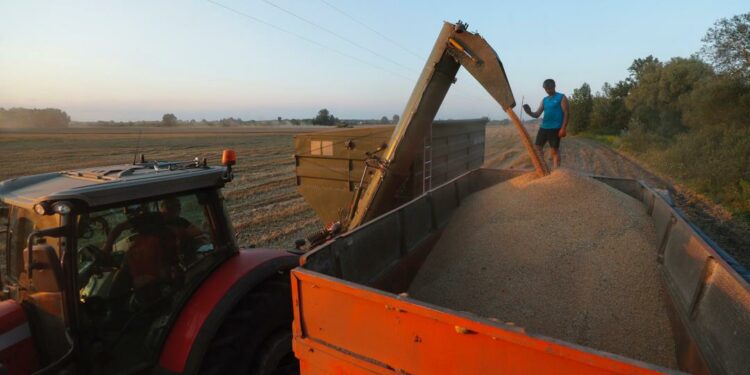Rusia debe dejar de usar el alimento como arma