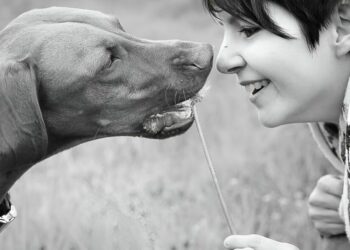 Los cerebros de los perros sintonizan mejor cuando les hablan mujeres