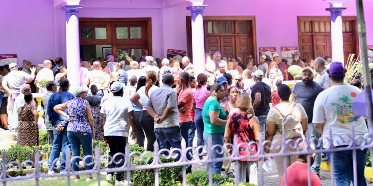 PLD reporta gran participación en sus elecciones internas este sábado