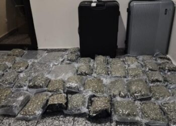 Atrapan en el AILA dominicana  venia desde Nueva York con marihuana y extasis 