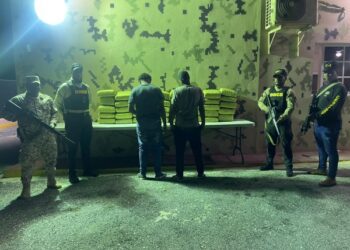 Decomisan más de 390 libras de un vegetal que se presume es marihuana