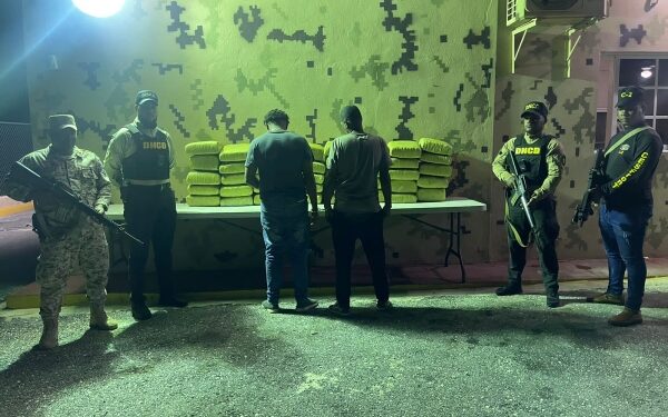 Decomisan más de 390 libras de un vegetal que se presume es marihuana
