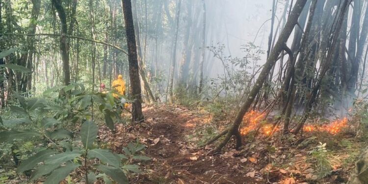 Bomberos extinguen incendios en Guaigüí y le entran a  otro en El Puerto, Jarabacoa