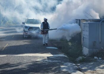 Aumento de casos de dengue apunta a una epidemia en expansión, advierte infectólogo