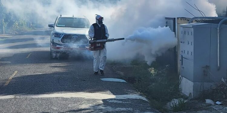 Aumento de casos de dengue apunta a una epidemia en expansión, advierte infectólogo