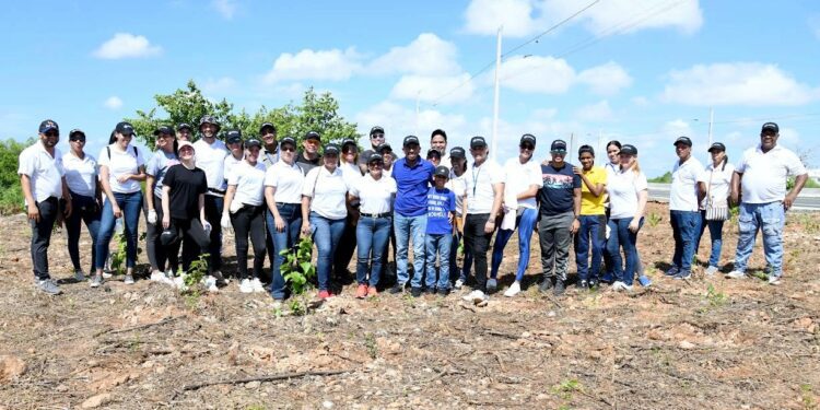 Colaboradores de la ONDA realizan jornada de reforestación en la avenida Ecológica
