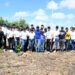 Colaboradores de la ONDA realizan jornada de reforestación en la avenida Ecológica