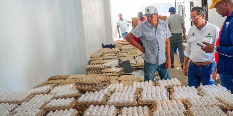 Inespre adquiere pollos y huevos de productores en Dajabón tras cierre fronterizo