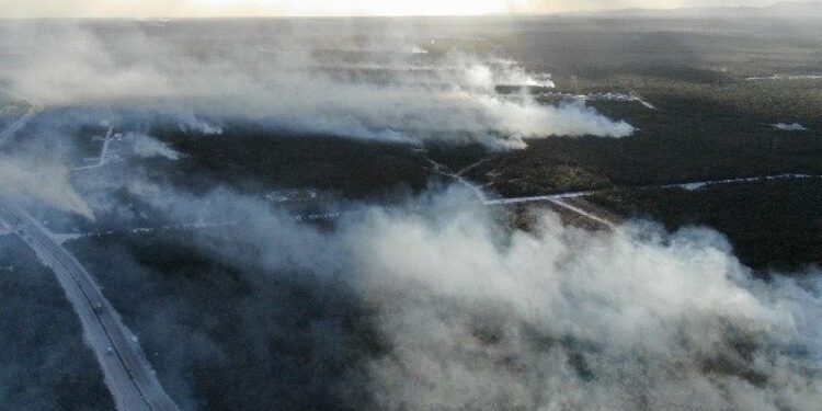 Humaredas en Bávaro, Verón y Punta Cana: Un llamado urgente a la acción