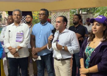 PLD escoge candidatos a regidores de SDE y el Distrito Nacional