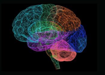 La exposición a plastificantes en el embarazo se asocia con menor cociente intelectual en la infancia