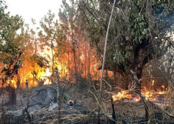 Se produce incendio en área recreativa Loma Guaigüí, en La Vega