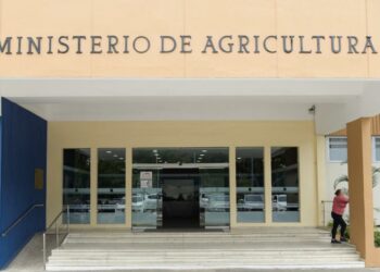 Coco y aguacate RD entrarán por primera vez a mercados EEUU y Jamaica