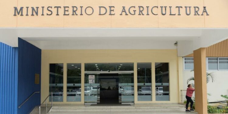 Coco y aguacate RD entrarán por primera vez a mercados EEUU y Jamaica