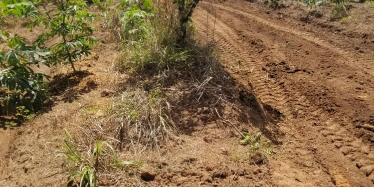 Periodista denuncia vandalización de propiedad en Bayaguana