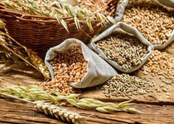 La importancia de las lombrices la producción global de cereales y legumbres