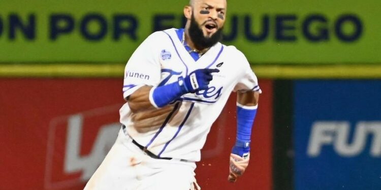 Licey presenta su reserva de jugadores nativos para próxima temporada