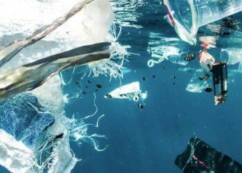 Modifican microorganismo marino para descomponer plástico en agua salada