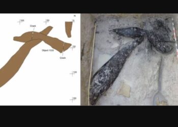 Descubren estructuras de madera anterior a nuestra especie 