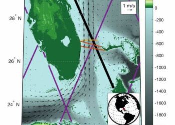 Calor extremo provocaría extinción masiva de mamíferos incluidos los humanos 