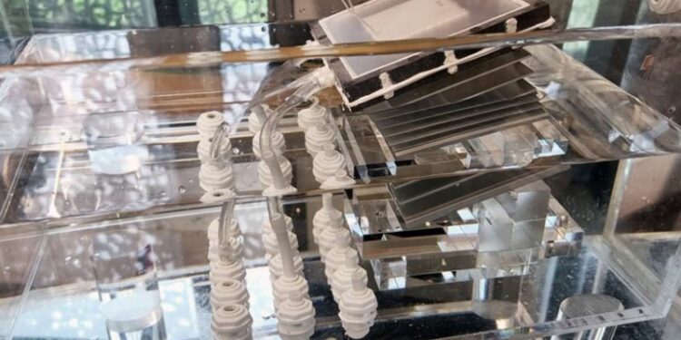 Desarrollan un sistema de desalinización más económico que el agua de grifo