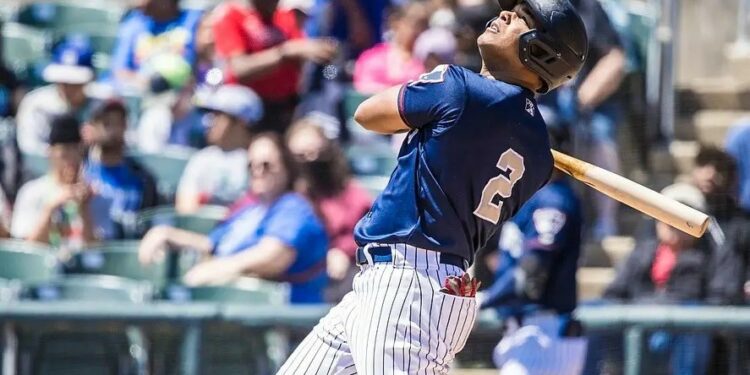 Los Tigres del Licey dejan en libertad otros seis jugadores