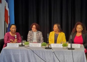 La propuestas de María Teresa para transformar el uso de las remesas de los dominicanos