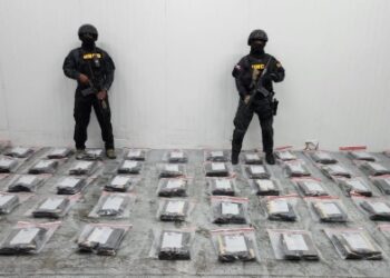 Confiscan otras 591 láminas de presunta cocaína iban con destino a Róterdam