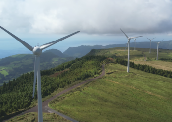 Crédito Verde en auge: Empresas dominicanas impulsan la sostenibilidad