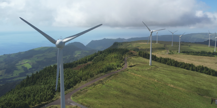 Crédito Verde en auge: Empresas dominicanas impulsan la sostenibilidad