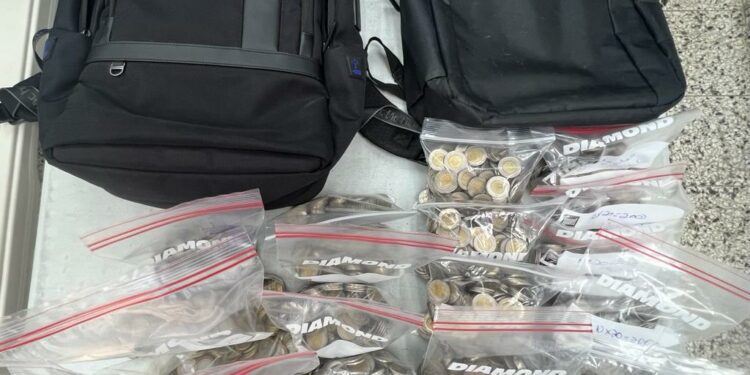 Desarticulada presunta red de narcotráfico en Santiago