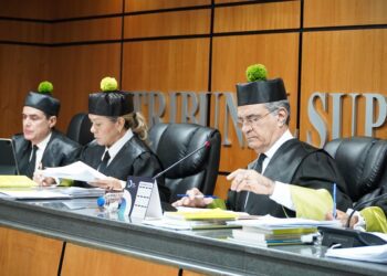 Estos son los 15 casos conocidos en audiencia de este lunes por el TSE